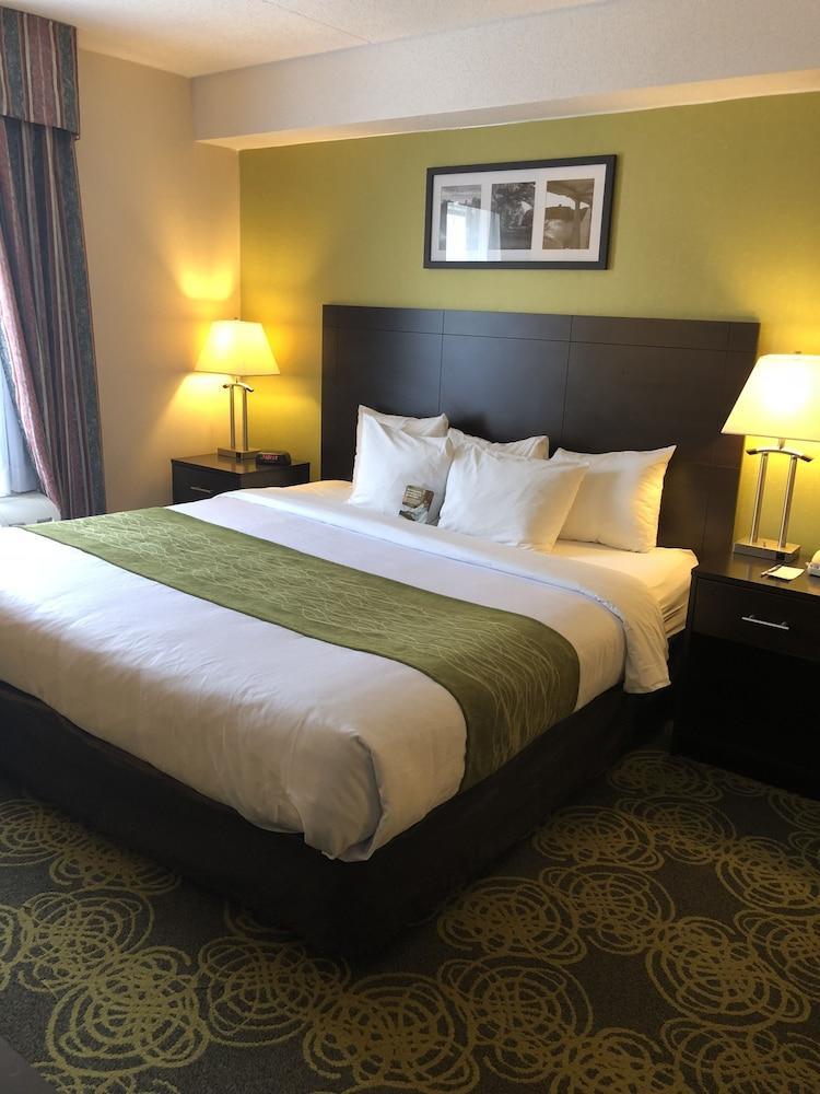 Comfort Hotel & Suites Peterborough Esterno foto